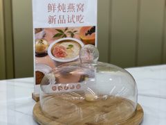 -慈宁宫鲜炖燕窝(文一物美店)