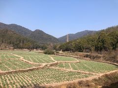 -天台山景区