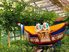 -南宫五洲植物乐园