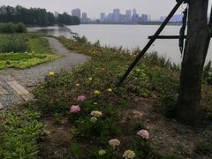 -金银湖国家城市湿地公园