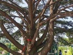 -国家植物园南园