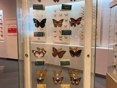 -陕西自然博物馆