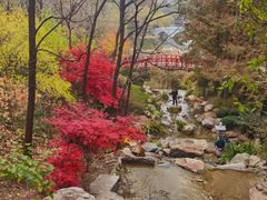 -大连植物园