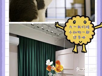 六一遛娃记 我们去和小动物一起玩吧