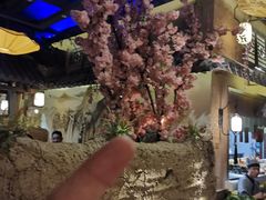 -淀里船宴(裕华东路店)