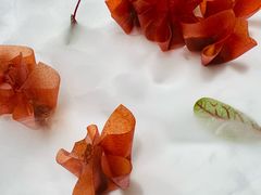 山楂鹅肝-柿合缘新京菜(国金中心商场店)