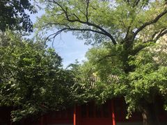 -中央音乐学院歌剧音乐厅