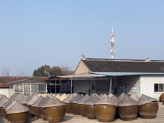 -苏州市吴中区光福窑上花果蜜饯厂