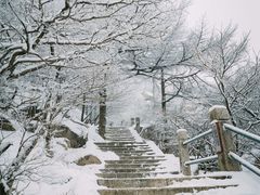 -崂山巨峰游览区