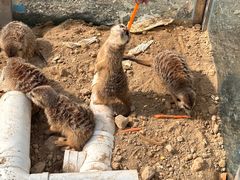 -水上乐园·欢乐世界