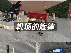-广州白云国际机场-T2航站楼