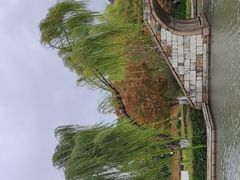 -青枫公园