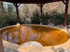 -天目湖涵田半山温泉