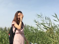 -东湖公园