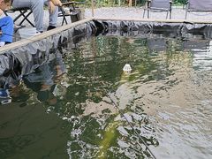 -DGE季风钓虾营地·团建·聚会