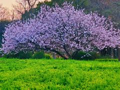 -白塘生态植物园