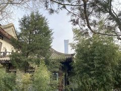 -团结湖公园