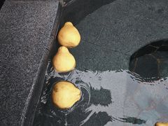 -裕龙汤泉