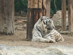 -广州长隆野生动物世界
