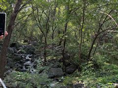 -北京鹫峰国家森林公园