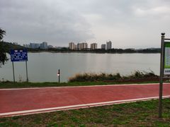 -鹤之洲湿地公园