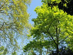 -杭州西湖风景名胜区-满觉陇四眼井