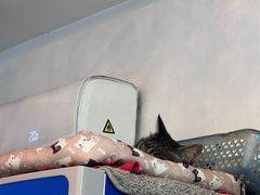 -臭鳜鱼人家·老字号徽菜