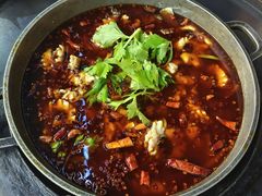 -重庆乌鱼庄·龙滋鲜(青羊大道店)