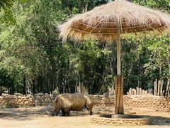 -北京野生动物园