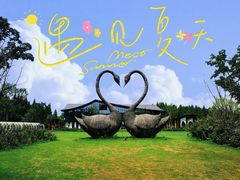 -东平国家森林公园