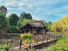 -中国科学院西双版纳热带植物园