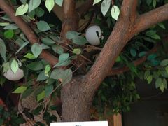 iphone_upload_pic-东哥面包(江宁大润发店)