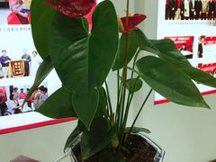 -上海天伦医院