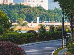 -立新湖公园