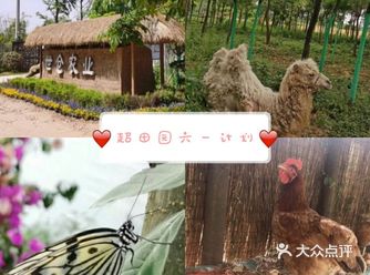 和萌宠一起过六一丨百邻庄园