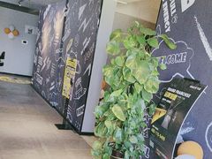 -梵猫·新养生(湛江鼎盛店)