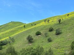 -新疆那拉提国家旅游度假区