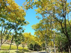 -牛岗山公园