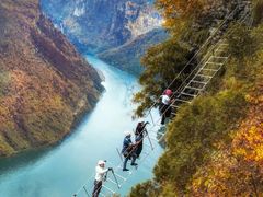 -千年银杏谷文化旅游区