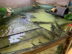 -楚鱼王·河鲜·湖北菜(华农店)