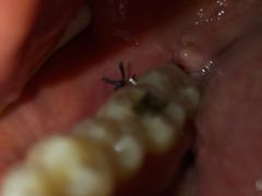 -深圳富茂格伦菲尔口腔门诊部(龙华清湖总院)