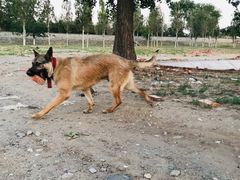 -永定河休闲森林公园