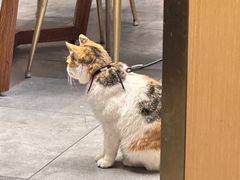 -后海16号·北京私房菜