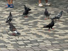 -星光大道