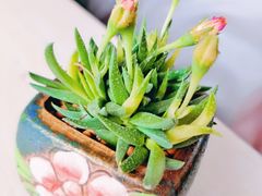 -捞神汤物料理(正大广场店)