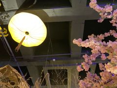 -淀里船宴(裕华东路店)