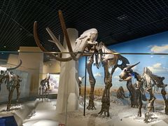 -国家自然博物馆