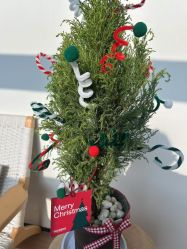 -AGE LOCK 锁龄美肌