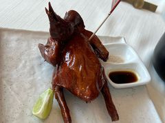 -侨美·唐荔园·40年地道粤菜