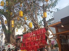 -正宗杨记普洱酸醋米线(总店)